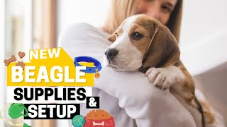 Preparing for Your First Beagle (Necessary Supplies and House Setup)