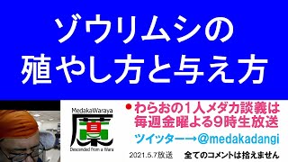 ゾウリムシの殖やしかたと針子への与え方 滋賀県のメダカ販売店 めだか藁屋 高木正臣