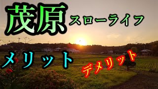 最強！否、最凶か！千葉県茂原市スローライフ。東金と荒野の死闘