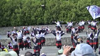 千葉工業大学よさこいソーラン 風神＠大江戸ソーラン祭り2019・審査会場