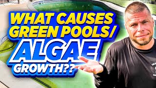 Why Your Pool Turned Green | Real Causes of Algae Growth & How To Fix It