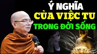 Ý Nghĩa Của Việc TU Trong Đời Sống Để Làm Gì? Sư Giác Nguyên - Sư Toại Khanh