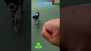 ハンドサインを覚えたよ