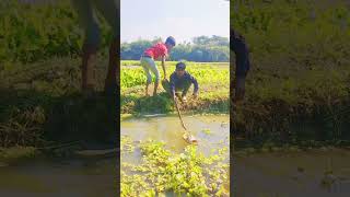 হালায় কামডা করলো কি/#comedy #funny #viralvideo #shortsvideo #10million