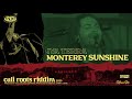 Iya Terra - Monterey Sunshine | Cali Roots Riddim 2020 (Produced by Collie Buddz)