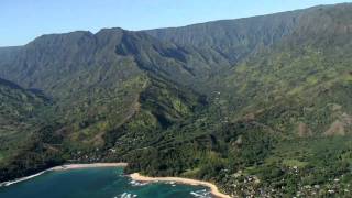 Birds In Paradise - Tunnels and Wainiha Beaches