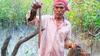 সুন্দরবন গভীর জঙ্গলে গলায় ফাসিঁ নিয়ে মরলো 😯 !! @sundarbanlifestylevlog