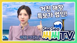 [See Sea TV] April 16, 2026: Special alerts and rough sea conditions arrive! / Marine Forecast Br...
