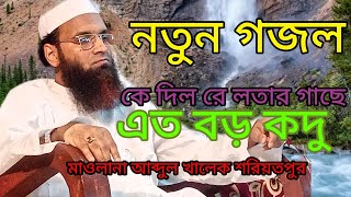 নতুন গজল কে দিল রে লতার গাছে এত বড় কদু। মাওলানা আব্দুল খালেক শরিয়তপুরী Abdul khalek soriotpuri