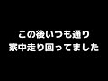 変な寝かたをするチンチラの赤ちゃんw