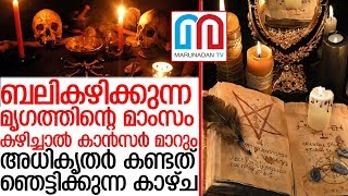 നഗരസഭ ഉടമസ്ഥത ഭൂമിയിലെ  മന്ത്രവാദ കേന്ദ്രം അടച്ചുപൂട്ടി അധികൃതര്‍ I black magic