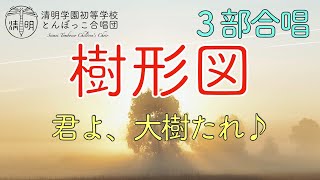 【歌詞付き】「樹形図」３部合唱　清明学園初等学校　とんぼっこ合唱団　Seimei Tombocco Children's Choir