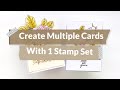 Create Multiple Cards with 1 Stamp Set | Inspired By A Card with Nathalie