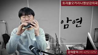 55차시트리플오카리나영상강의곡)\