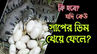 কি হবে যদি কেউ  সাপের ডিম খেয়ে ফেলেন ? What will be happen if you eat snake eggs?