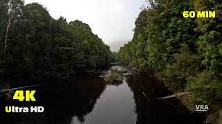 Virtual Hike 4k Tasmania Wilderness   60min Virtual Scenery for Treadmill