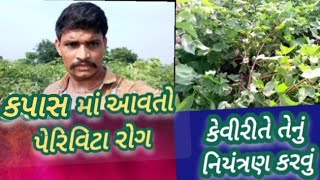 કપાસ માં આવતો પેરિવિટા નામ નો રોગ | Perivita Disease In Cotton Control