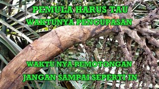 UJI COBA,, JANGAN MENUNGGU KERING JIKA INGIN BERHASIL