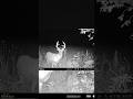 The best trail camera on the market hands down! #hunting #shorts #trending #trailcamera #youtube