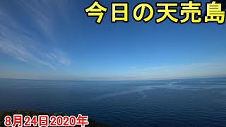 今日はツバメの声を聞いて下さい。2020年8月24日