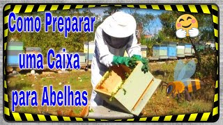 Como Preparar uma Caixa para Abelhas #yutubeshorts  #euclidessantanasantana #beekeeping  #abelhas