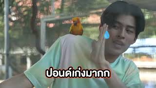 Pond Naravit try to stay cool when seeing birds | LittleBigWorld with Pond Phuwin