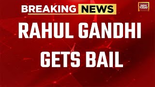 Rahul Gandhi Gets Bail In Defamation Case, Next Hearing On May 3 | Rahul Gandhi Defamation Case