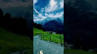 18 Second With RastaWhiteShepherd Dog  | Switzerland nature Sunday #shorts