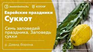 Еврейские праздники: Суккот. Урок 2: Семь заповедей праздника. Заповедь сукки