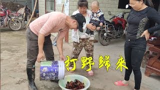 女婿打野歸來，收穫了不少小龍蝦，丈母娘來圍觀，這女婿真能幹【90後寶媽雯雪】