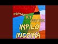 Impilo indzima