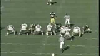 Jeff Graham 48yd TD catch - Iowa 1990