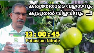 ചെടിയുടെ ആരോഗ്യത്തിനും വളർച്ചയ്ക്കും കൂടുതൽ വിളവിനം |Pottasium Nitrate fertilizer | 13:00:45