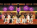 【FF14】月下彼岸花 - Wayward Daughter - FFXIV：Bard Performance