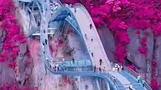 China Glass Bridge#shorts#science#youtubeshorts#china
