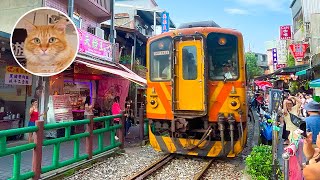 A World-Famous Cat Spot! Taiwan’s Houtong Cat Village and Shifen Old Street 😺🇹🇼