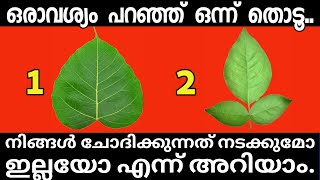 നിങ്ങൾ ആഗ്രഹിക്കുന്ന കാര്യം നടക്കുമോ എന്നറിയാൻ ഒരു ചിത്രം തിരഞ്ഞെടുക്കൂ..