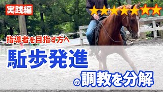 504.指導者を目指す方へ 駈歩発進の調教を分解【実践編】