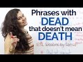 Speak Natural English - Phrases with dead, that doesn’t mean death – Improve  English speaking