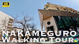 [4K] NAKAMEGURO Tokyo 💛 Walking Tour, Meguro river / 中目黒 目黒川 散歩 街歩き