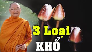 3 LOẠI KHỔ - HT Viên Minh Giảng | Phật Pháp Vấn Đáp