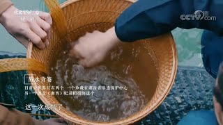 可以盛水的背篓 全世界仅有两只《湘西》第一集【CCTV纪录】