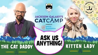 Cat Camp @ Home AMA with Jackson Galaxy, Kitten Lady Hannah Shaw