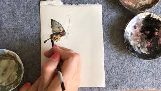 Using Chinese painting brush to draw a butterfly 畫蝴蝶 🦋 (1)