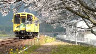 錦川鉄道　錦川清流線　満開の桜と、きらめき号 2009/04/01