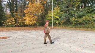Salute right Quicktime, pacestick
