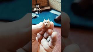 [제주목공방_제재공간] 초간단 원목 목각목걸이 만들기#121(말티즈)