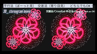 【３D立体視動画】春告草（はるつげぐさ）JapanesePlum/眼精疲労回復や視力の回復にも【stereogram movie】