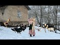 Snowy Winter Day in a Beautiful Village and Daily Life of People