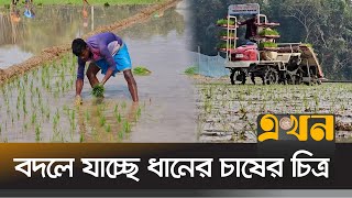 এক ঘন্টায় রোপণ হচ্ছে এক একর জমির চারা! | Agriculture News | Netrokona News | Ekhon TV | এখন টিভি